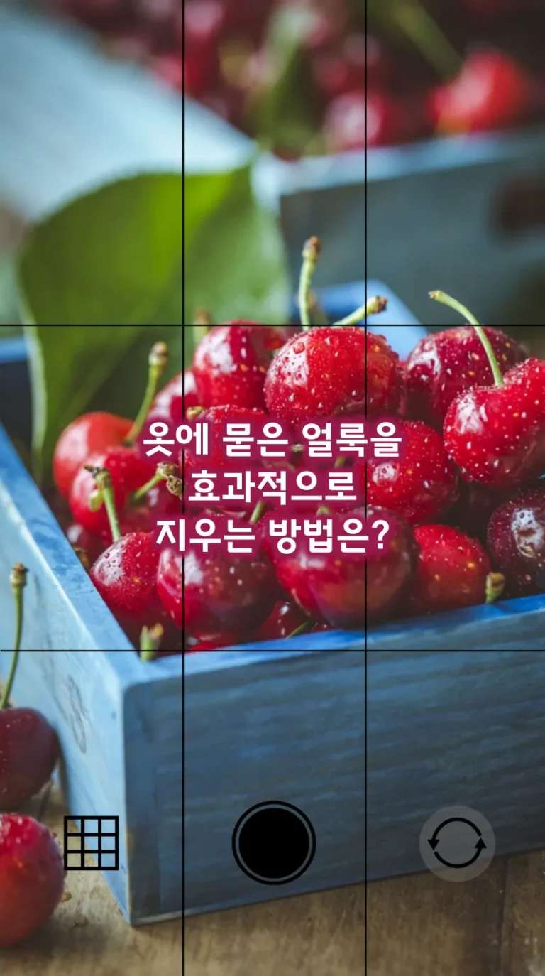 옷에 묻은 얼룩을 효과적으로 지우는 방법은?