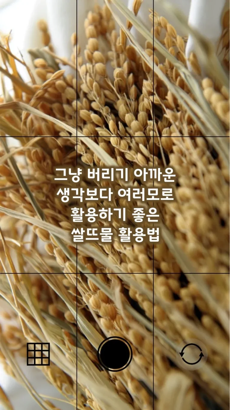 그냥 버리기 아까운 생각보다 여러모로 활용하기 좋은 쌀뜨물 활용법