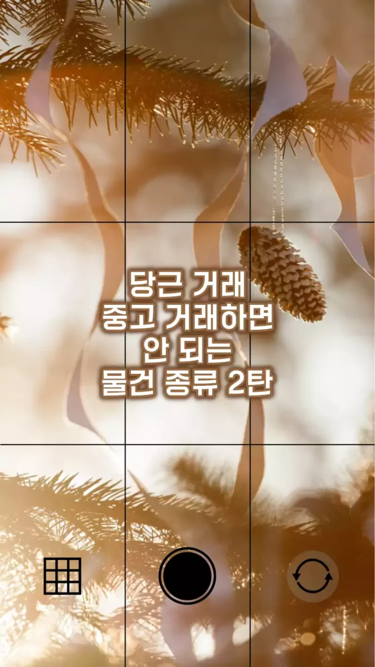 당근 거래 중고 거래하면 안 되는 물건 종류 2탄