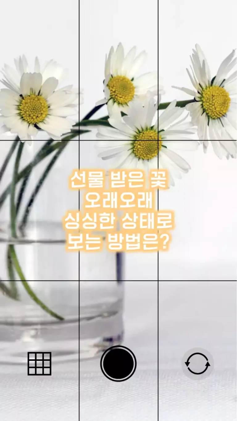 선물 받은 꽃 오래오래 싱싱한 상태로 보는 방법은?