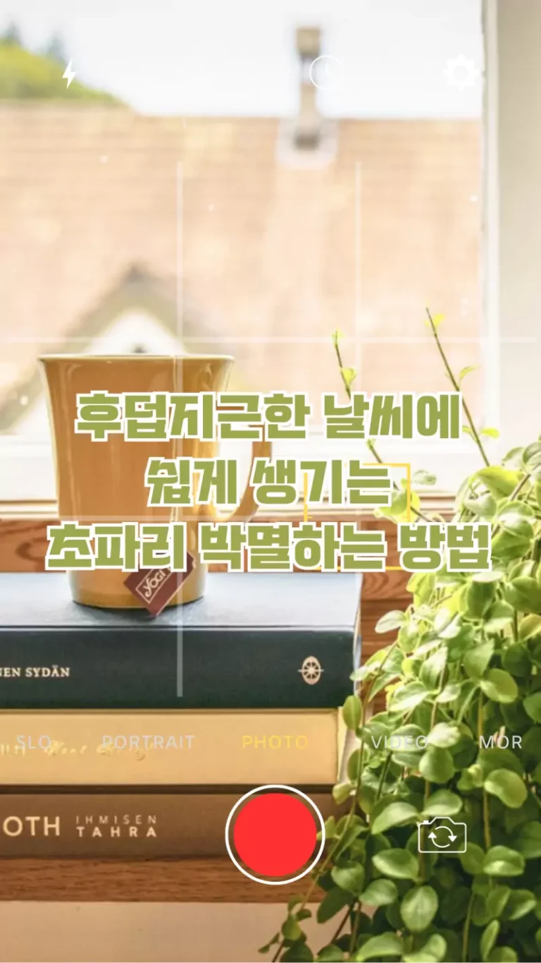 후덥지근한 날씨에 쉽게 생기는 초파리 박멸하는 방법