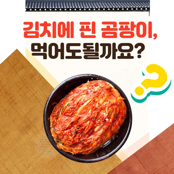김치에 핀 곰팡이, 먹어도 될까요?