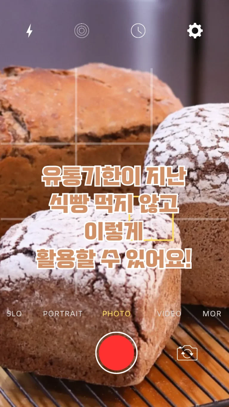 유통기한이 지난 식빵 먹지 않고 이렇게 활용할 수 있어요!