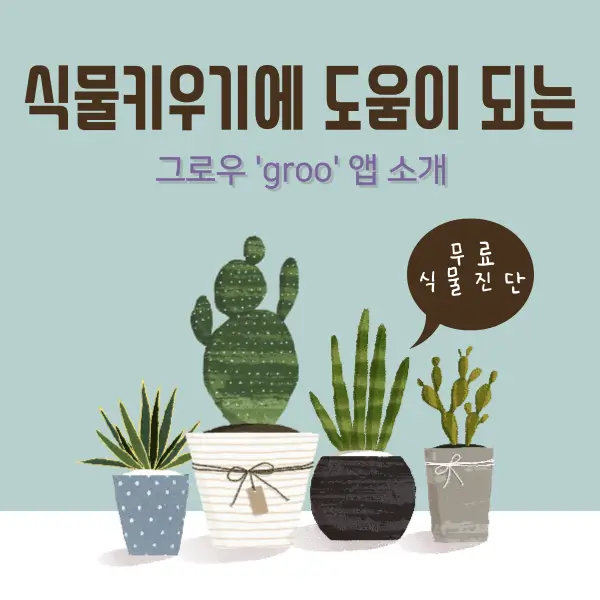 식물 키우기에 도움이 되는 그루우’groo’ 앱 소개